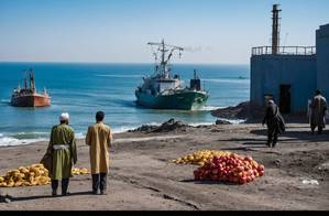 FAO: If the Iran war continues, food prices will continue to rise around the world