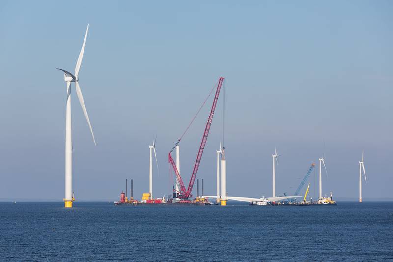 Shell Exec Says Trump Halting Wind Projects is Harmful