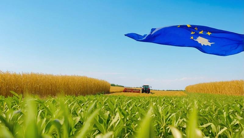 Draft document reveals EU plans to restrict imports of crops treated with banned pesticides