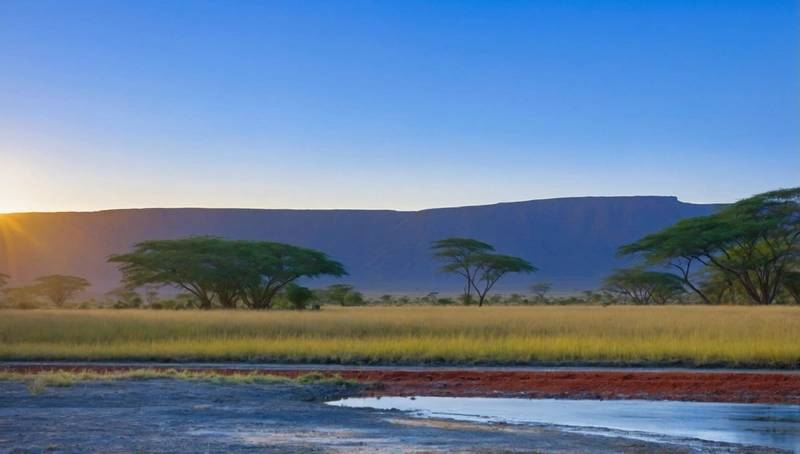 BHP exits $2.5 billion Tanzania nickel project, partner Lifezone says