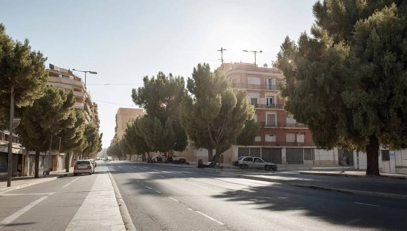 Madrid's poorest neighbourhoods demand more trees to cool the streets during deadly heatwaves