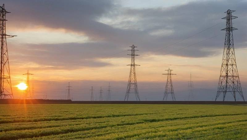 Sources say that France's EDF has appointed advisers to examine options for Italian Edison.
