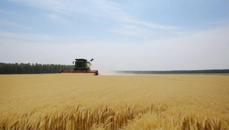 Russian grain harvest exceeds 145 million tonnes, according to deputy PM
