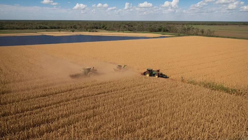 Paraguay's soy harvest may break records as it enters the final stages
