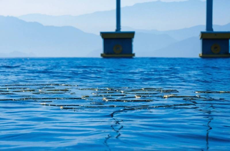 Gold prices steady as dollar softens and offsets Fed rate-cut expectations